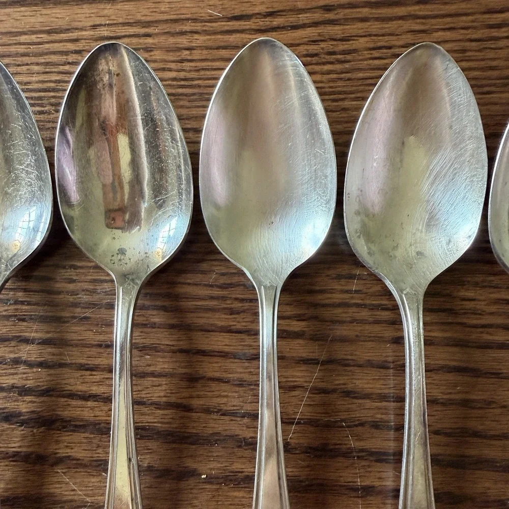 Vtg Oneida Community Bridal Wreath Silver Plate Tablespoon Serving Spoon (5)